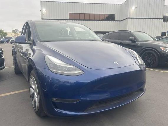 TESLA MODEL Y 2023 7SAYGDEE7PF712207 image